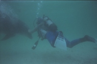 Flipper met Jolanda onder water