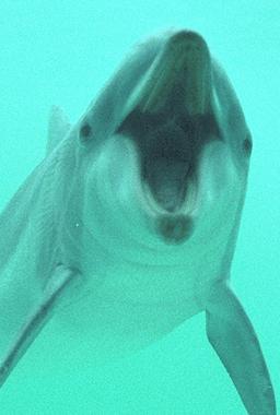 Open mouth